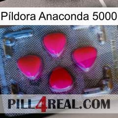 Píldora Anaconda 5000 13